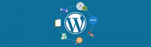 WordPress themes